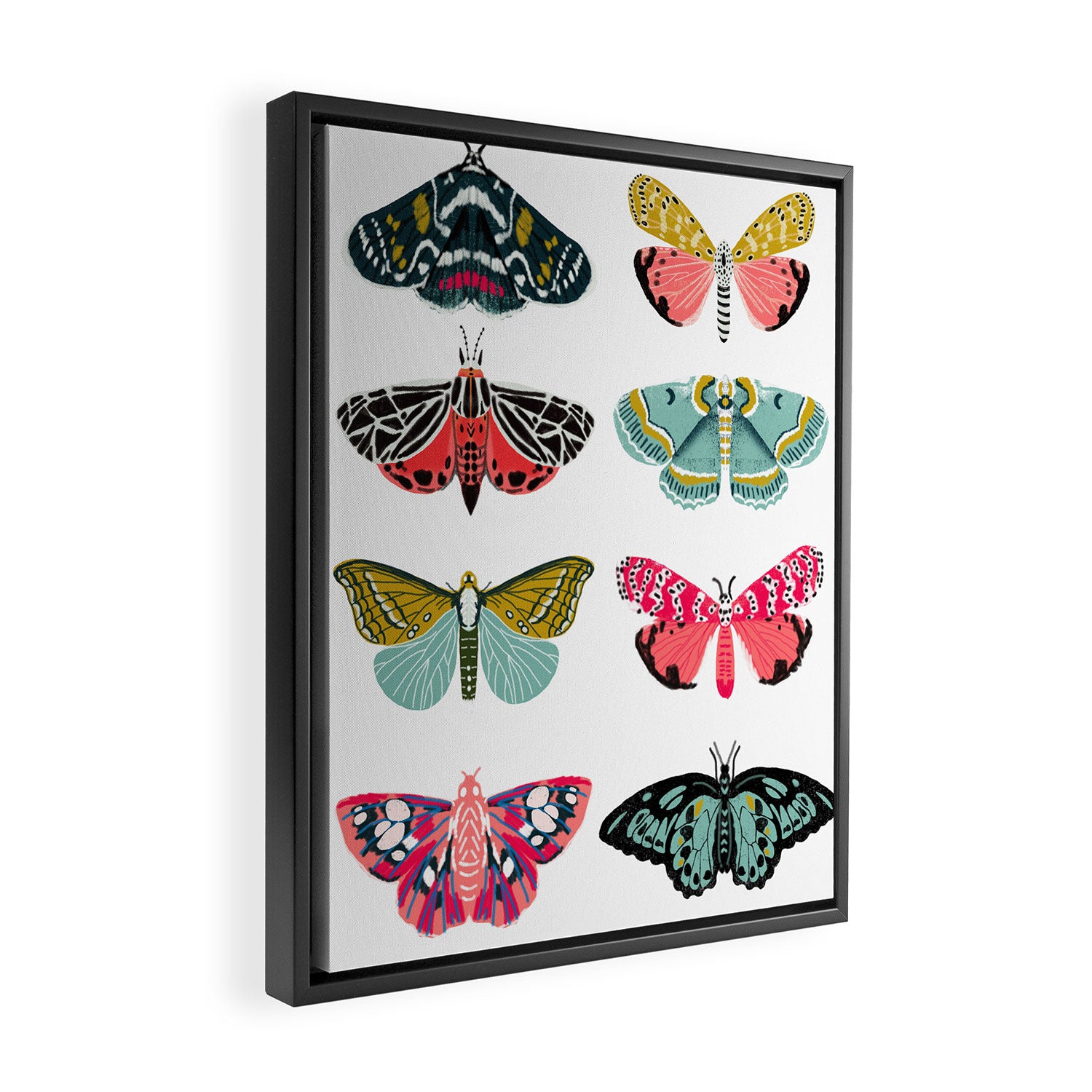 Moths - white background, moth print, moth art, moth sticker, moths, moth art Framed Canvas Print Gallery Image 2