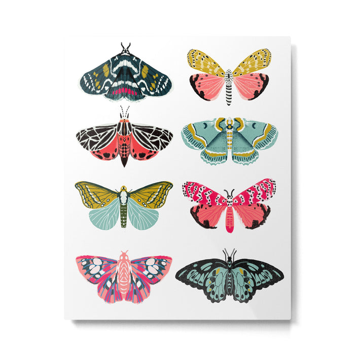 Moths - white background, moth print, moth art, moth sticker, moths, moth art Metal Print Gallery Image 1