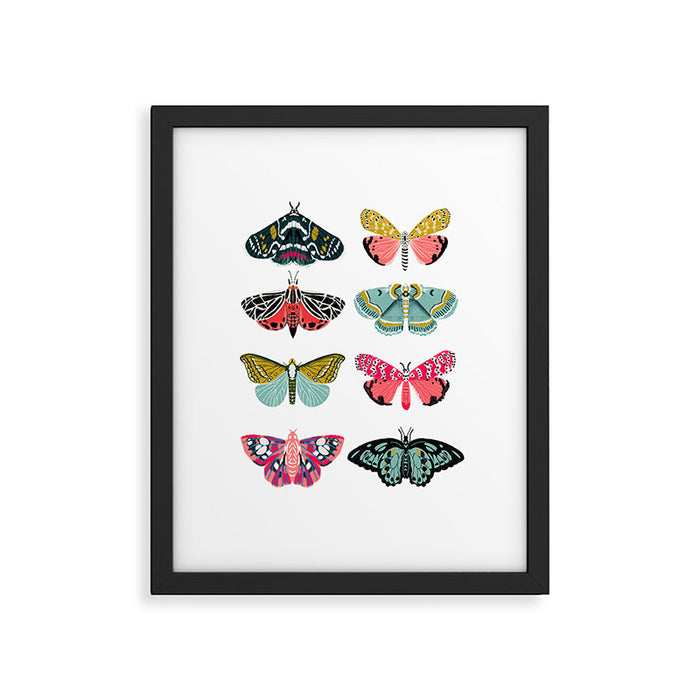 Moths - white background, moth print, moth art, moth sticker, moths, moth art Framed Art Print Gallery Image 1