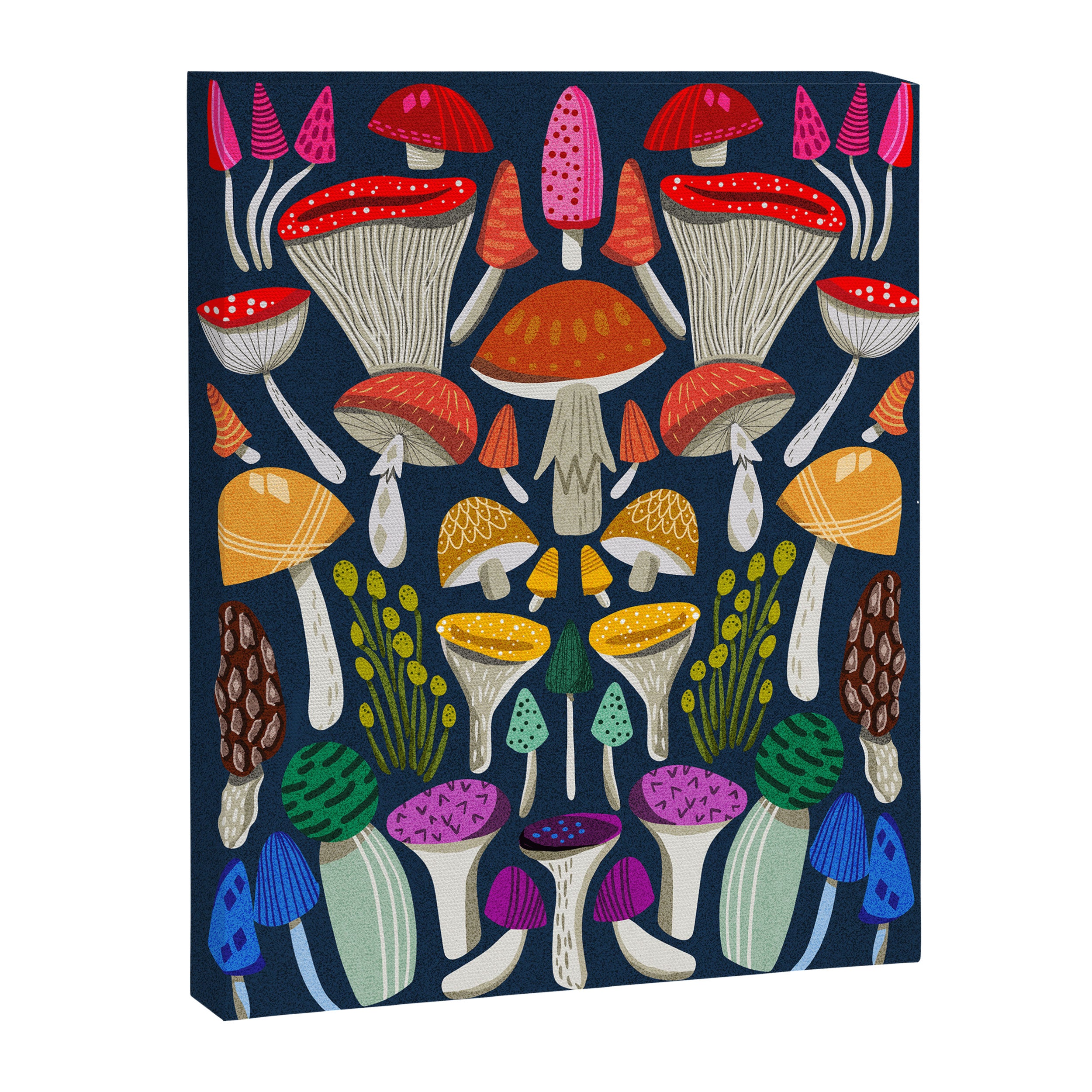Mushrooms - mushroom, shrooms, mushroom print, rainbow, woodland, andrea lauren Canvas Print Gallery Image 6