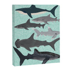 Sharks nature animal illustration texture print marine biologist sea life ocean Andrea Lauren Canvas Print Gallery Image 6