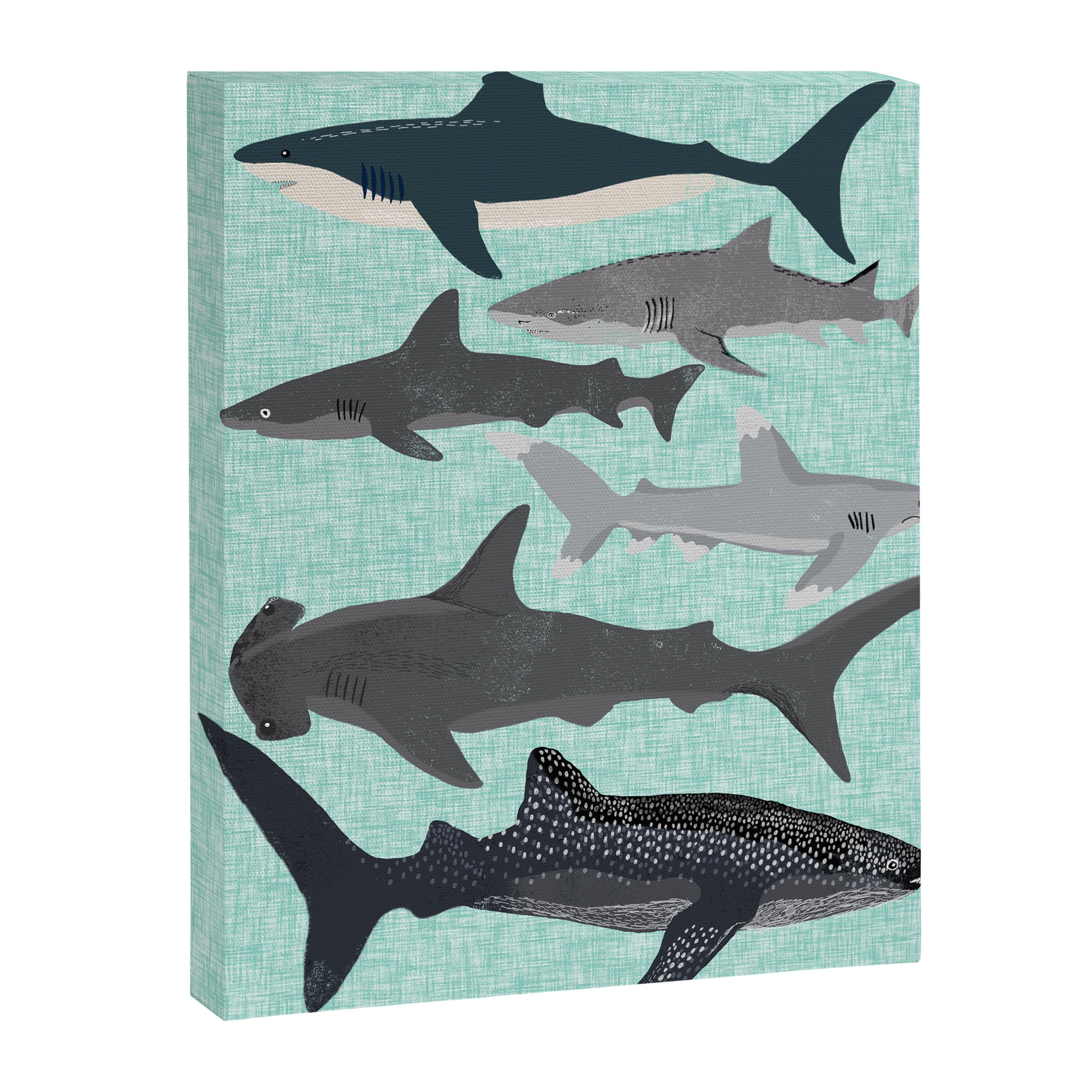Sharks nature animal illustration texture print marine biologist sea life ocean Andrea Lauren Canvas Print Gallery Image 6