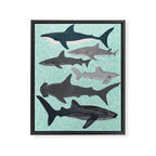 Sharks nature animal illustration texture print marine biologist sea life ocean Andrea Lauren Framed Canvas Print Gallery Image 6