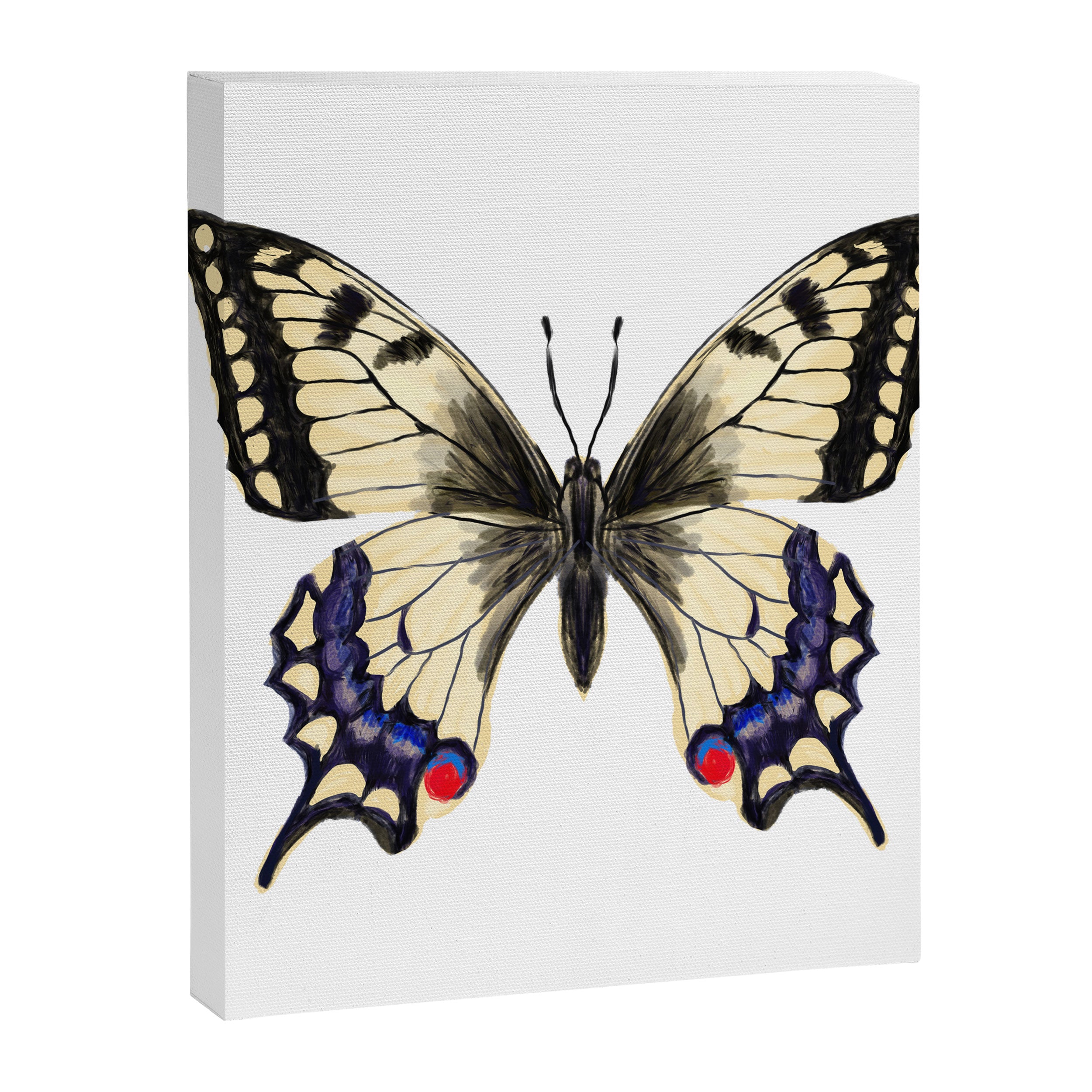 Swallowtail Butterfly - butterfly art, painted butterfly, butterfly design, sweet butterflies Canvas Print Gallery Image 8