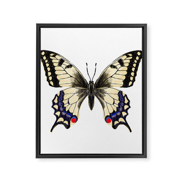 Swallowtail Butterfly - butterfly art, painted butterfly, butterfly design, sweet butterflies Framed Canvas Print Gallery Image 1