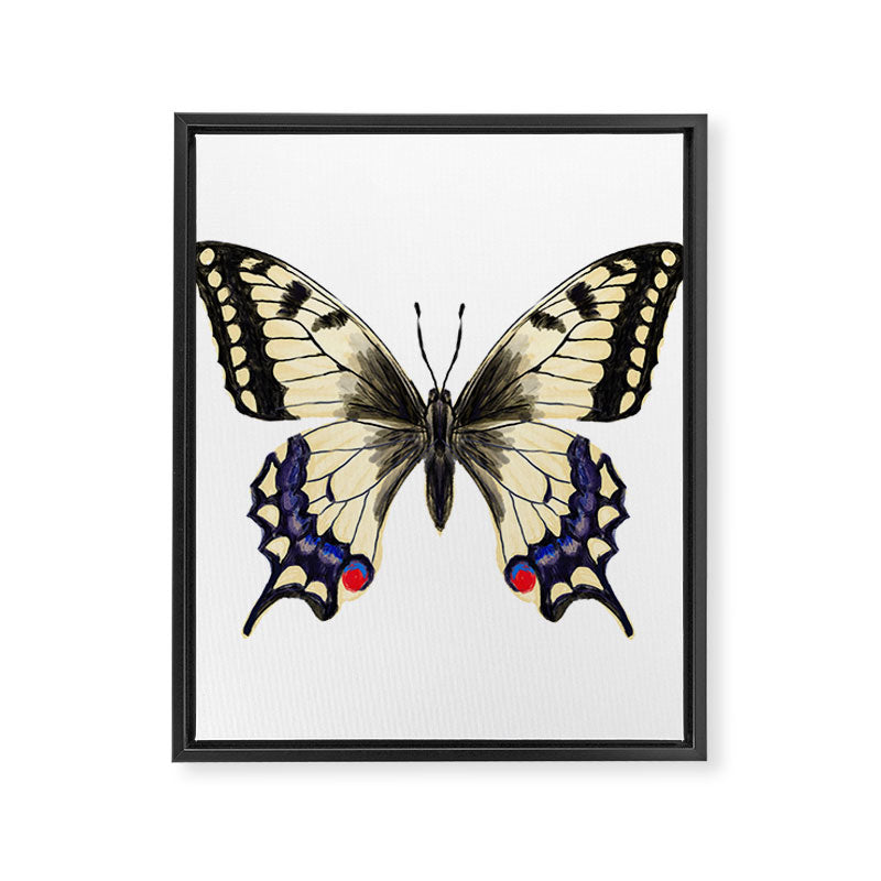 Swallowtail Butterfly - butterfly art, painted butterfly, butterfly design, sweet butterflies Framed Canvas Print Gallery Image 8