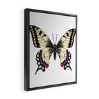 Swallowtail Butterfly - butterfly art, painted butterfly, butterfly design, sweet butterflies Framed Canvas Print Gallery Image 2