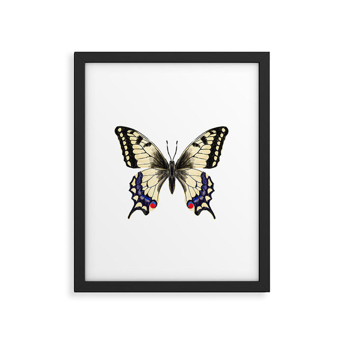 Swallowtail Butterfly - butterfly art, painted butterfly, butterfly design, sweet butterflies Framed Art Print Gallery Image 1