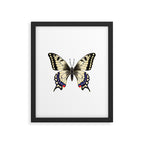 Swallowtail Butterfly - butterfly art, painted butterfly, butterfly design, sweet butterflies Framed Art Print Gallery Image 6
