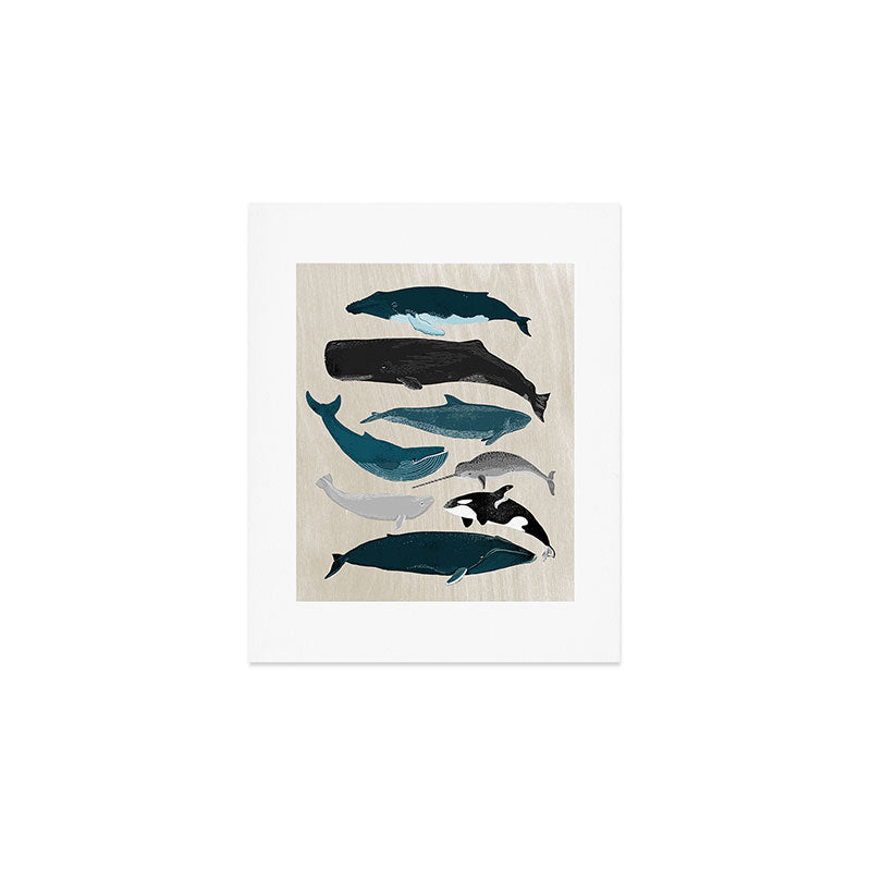 Whales - Pod of Whales Print by Andrea Lauren Art Print Gallery Image 1