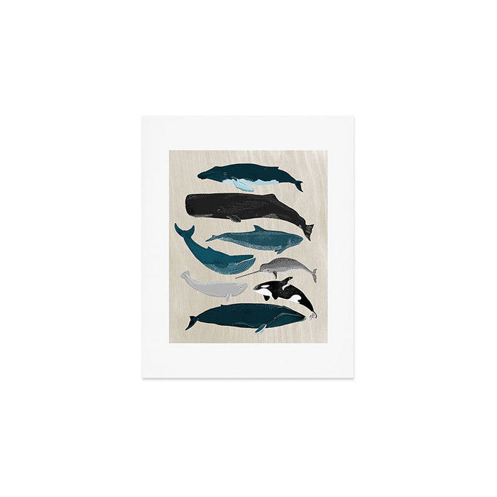 Whales - Pod of Whales Print by Andrea Lauren Art Print Gallery Image 1