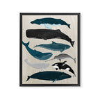 Whales - Pod of Whales Print by Andrea Lauren Framed Canvas Print Gallery Image 6