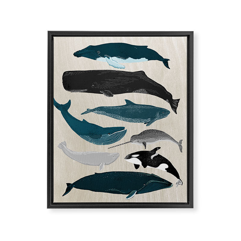 Whales - Pod of Whales Print by Andrea Lauren Framed Canvas Print Gallery Image 6
