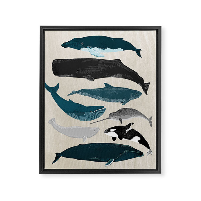 Whales - Pod of Whales Print by Andrea Lauren Framed Canvas Print Gallery Image 1