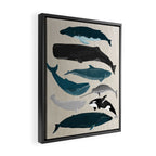 Whales - Pod of Whales Print by Andrea Lauren Framed Canvas Print Gallery Image 2