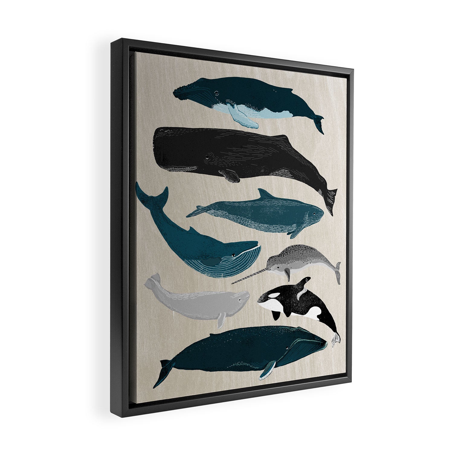 Whales - Pod of Whales Print by Andrea Lauren Framed Canvas Print Gallery Image 2