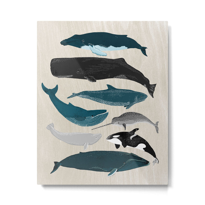 Whales - Pod of Whales Print by Andrea Lauren Metal Print Gallery Image 1