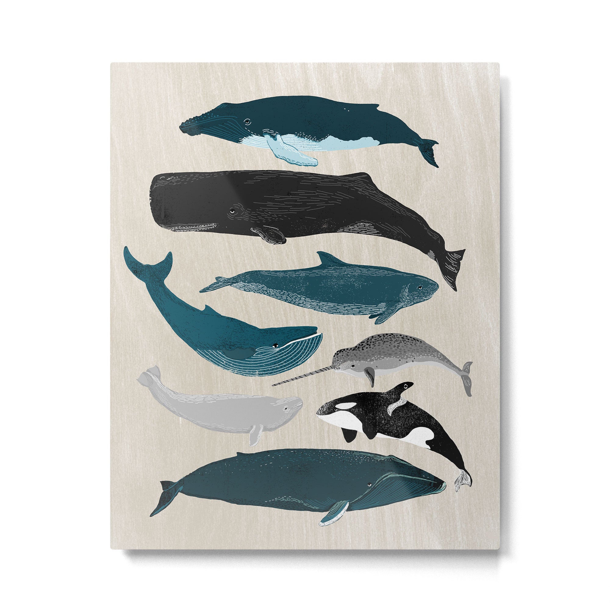 Whales - Pod of Whales Print by Andrea Lauren Metal Print Gallery Image 4