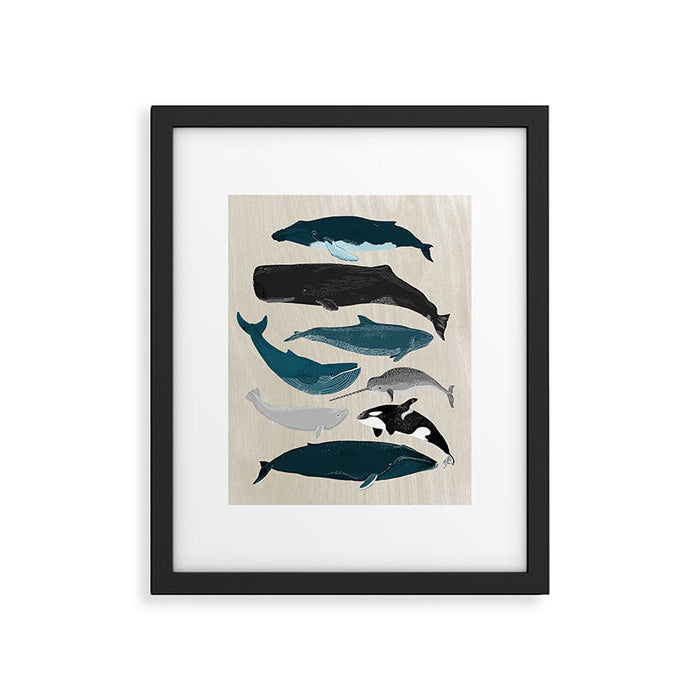 Whales - Pod of Whales Print by Andrea Lauren Framed Art Print Gallery Image 1