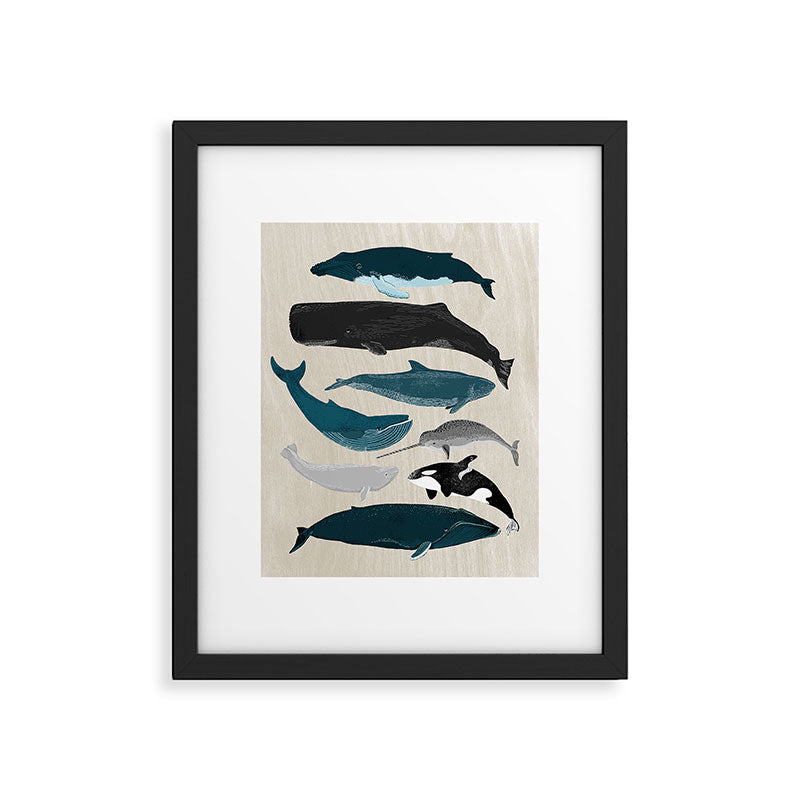 Whales - Pod of Whales Print by Andrea Lauren Framed Art Print Gallery Image 5