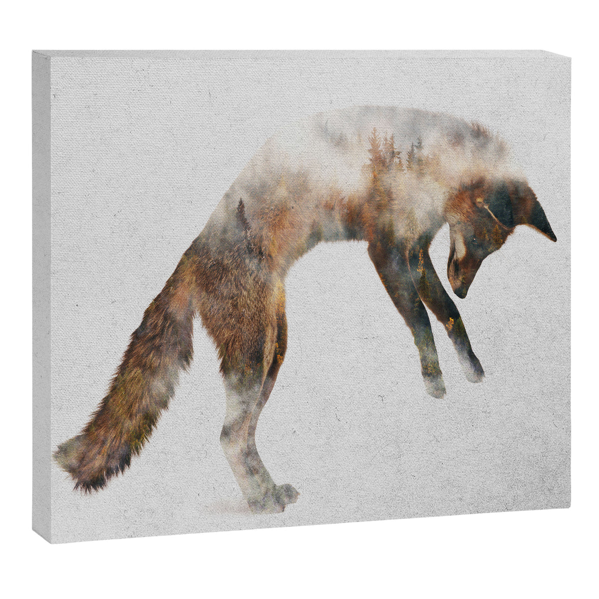 Jumping Fox Canvas Print Gallery Image 12