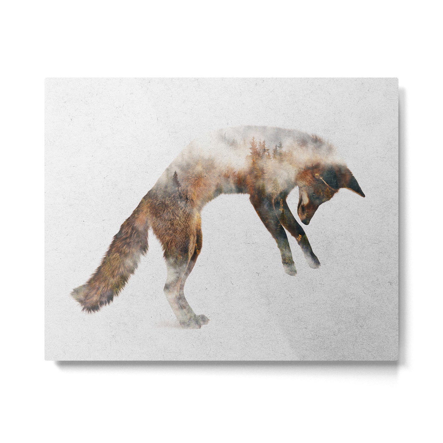 Jumping Fox Metal Print Gallery Image 4