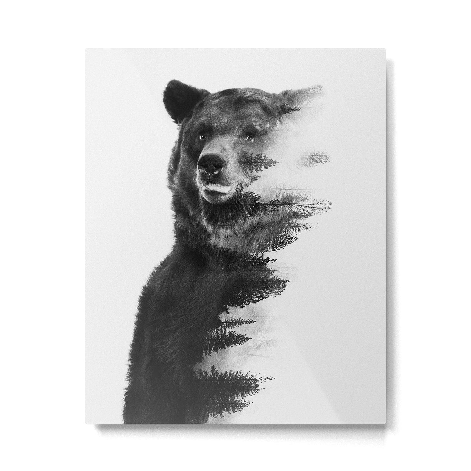 Observing Bear Metal Print Gallery Image 4