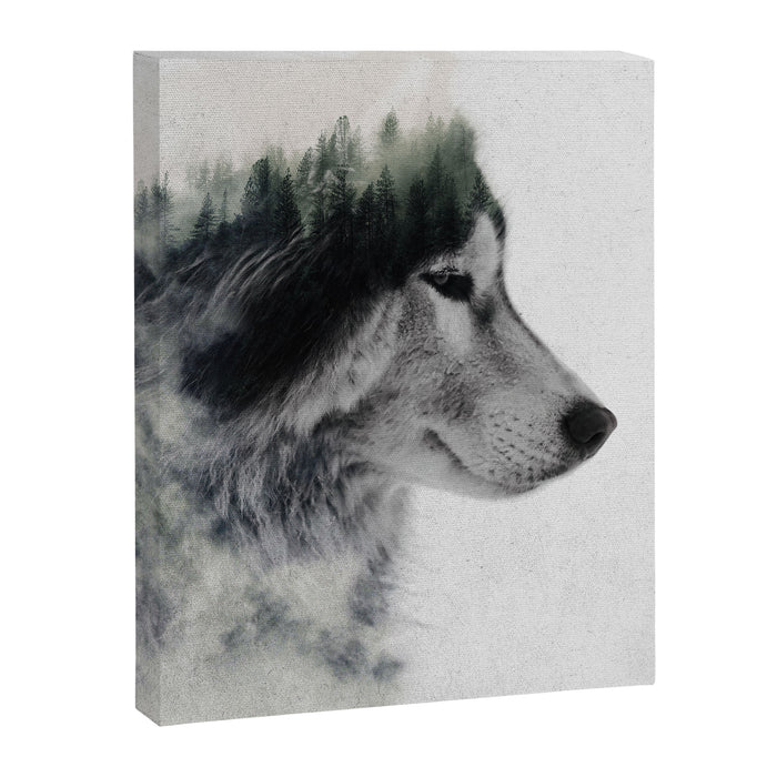 Wolf Stare Canvas Print Gallery Image 1