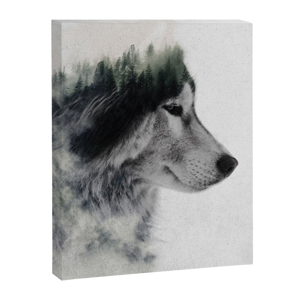 Wolf Stare Canvas Print Gallery Image 6