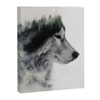Wolf Stare Canvas Print Gallery Image 6