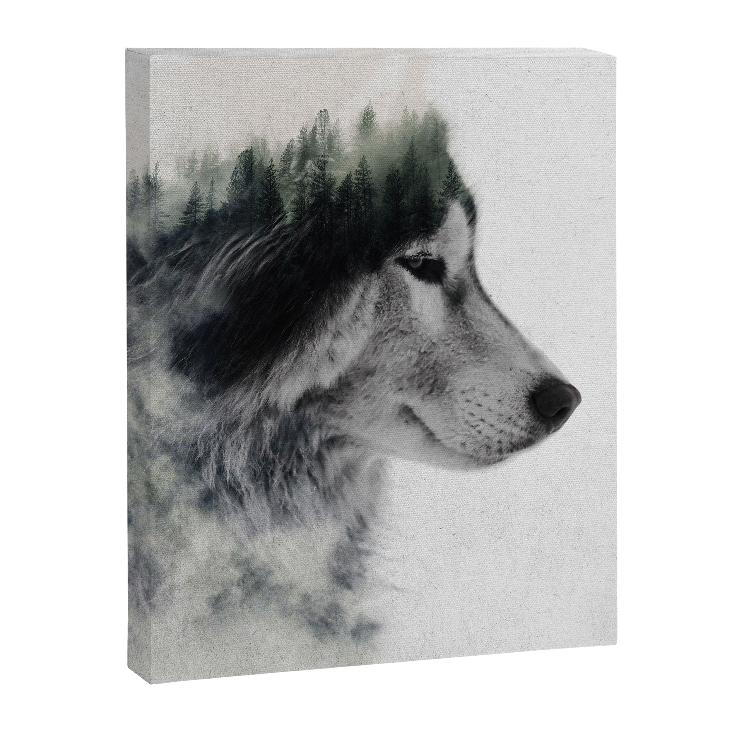 Wolf Stare Canvas Print Gallery Image 6