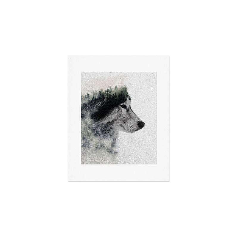 Wolf Stare Art Print Gallery Image 1