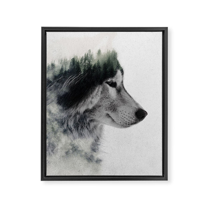 Wolf Stare Framed Canvas Print Gallery Image 1