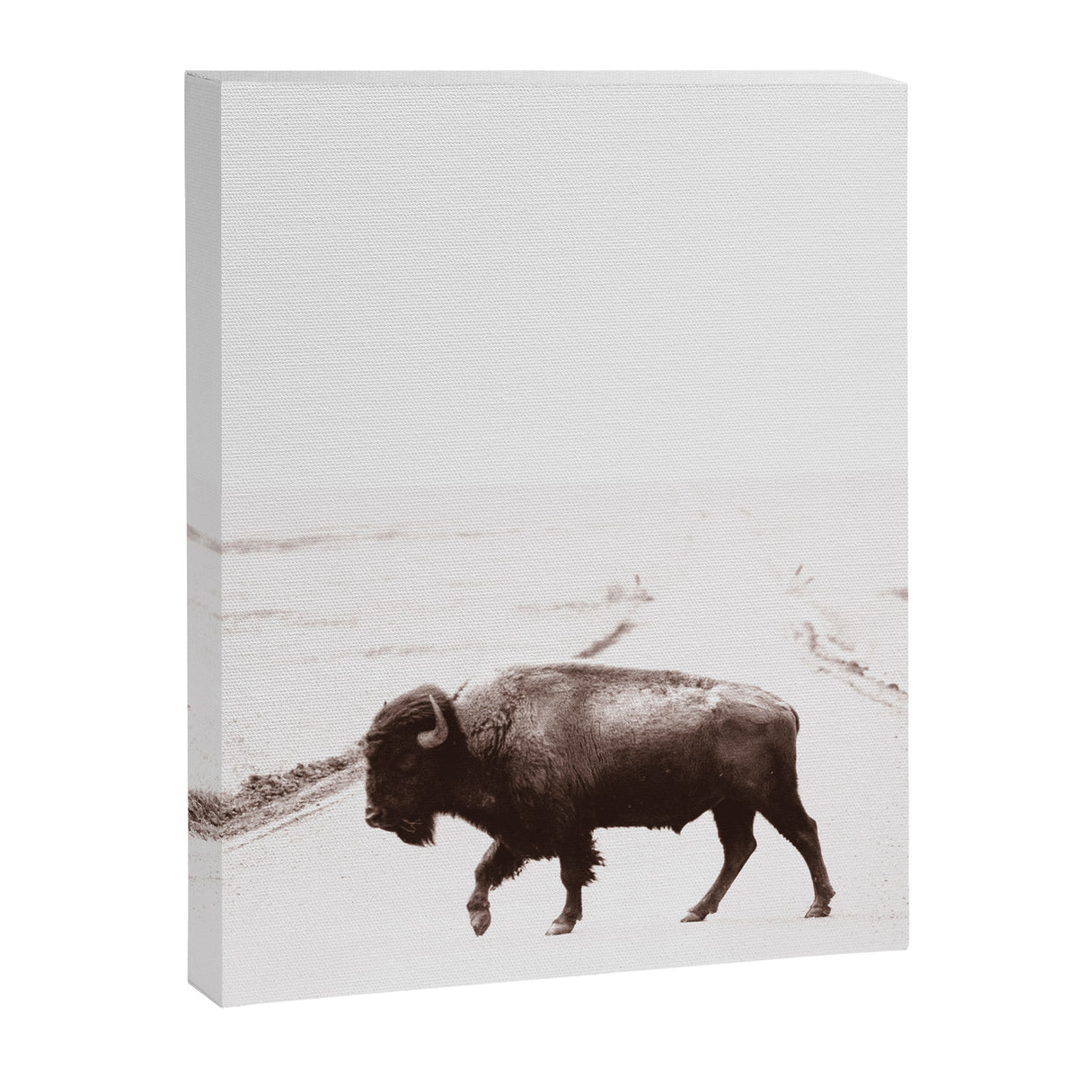 Bison 3 Canvas Print Gallery Image 6