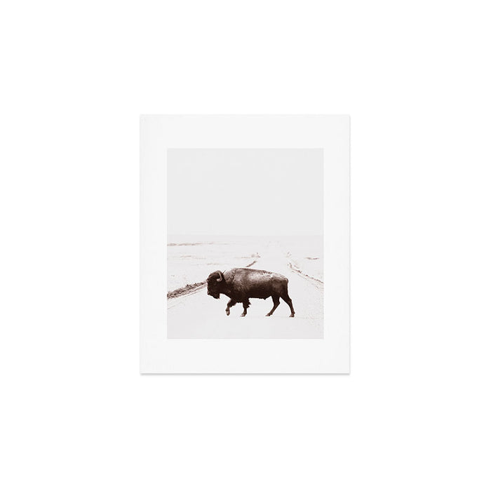 Bison 3 Art Print Gallery Image 1