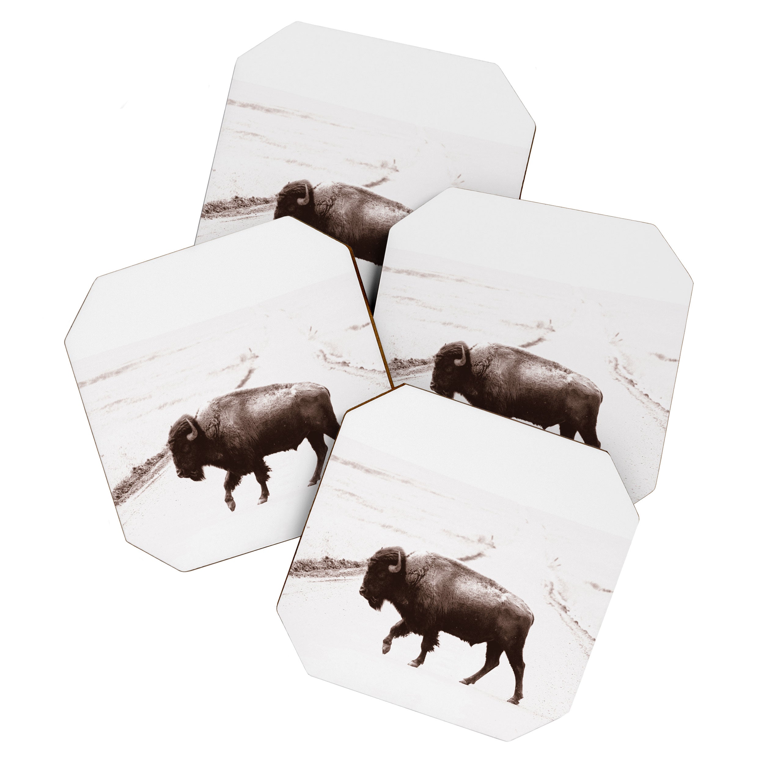Bison 3 Coaster Gallery Image 1