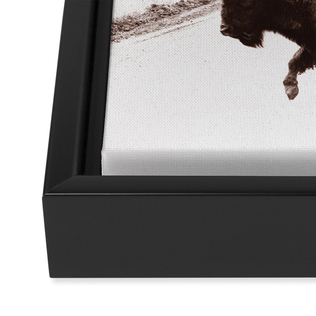 Bison 3 Framed Canvas Print Gallery Image 3