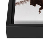 Bison 3 Framed Canvas Print Gallery Image 3