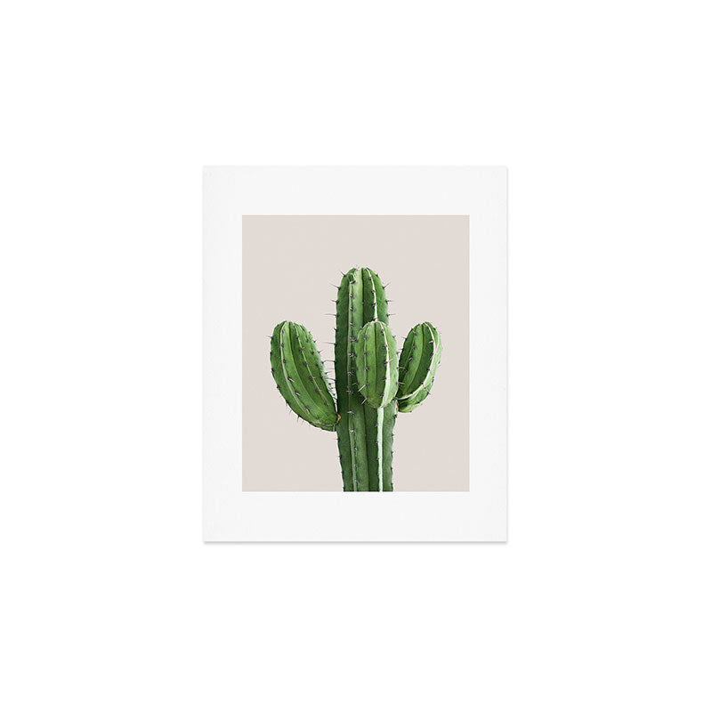 Cactus 4 Art Print Gallery Image 1