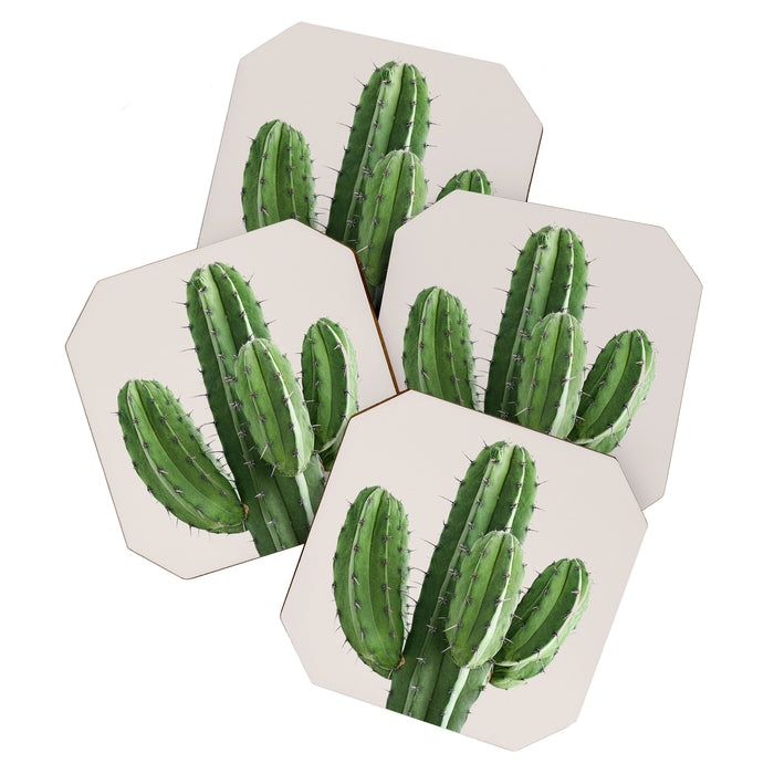 Cactus 4 Coaster Gallery Image 1