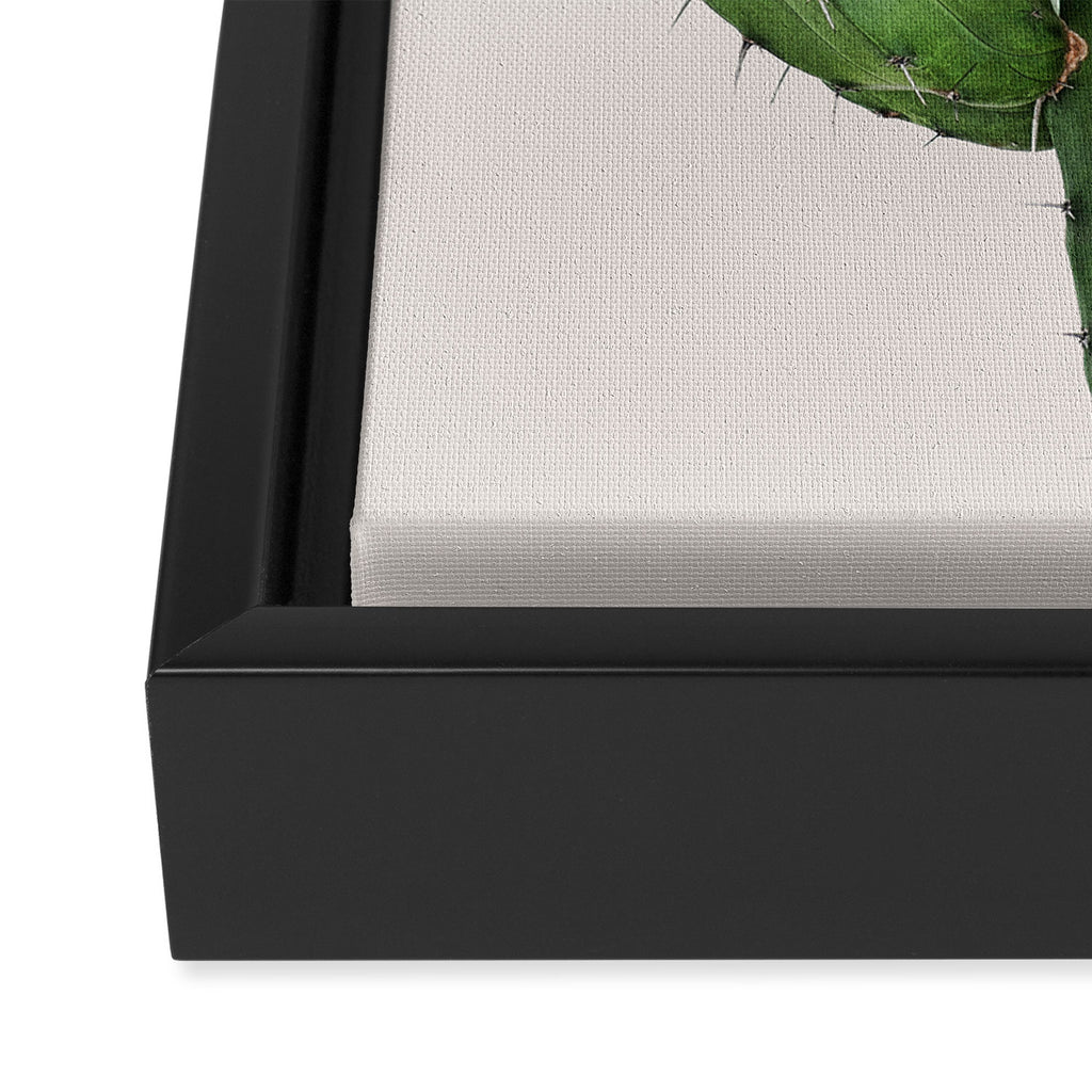 Cactus 4 Framed Canvas Print Gallery Image 3