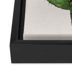 Cactus 4 Framed Canvas Print Gallery Image 3