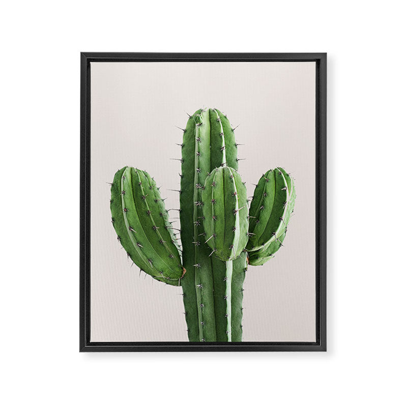 Cactus 4 Framed Canvas Print Gallery Image 6