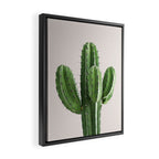 Cactus 4 Framed Canvas Print Gallery Image 2