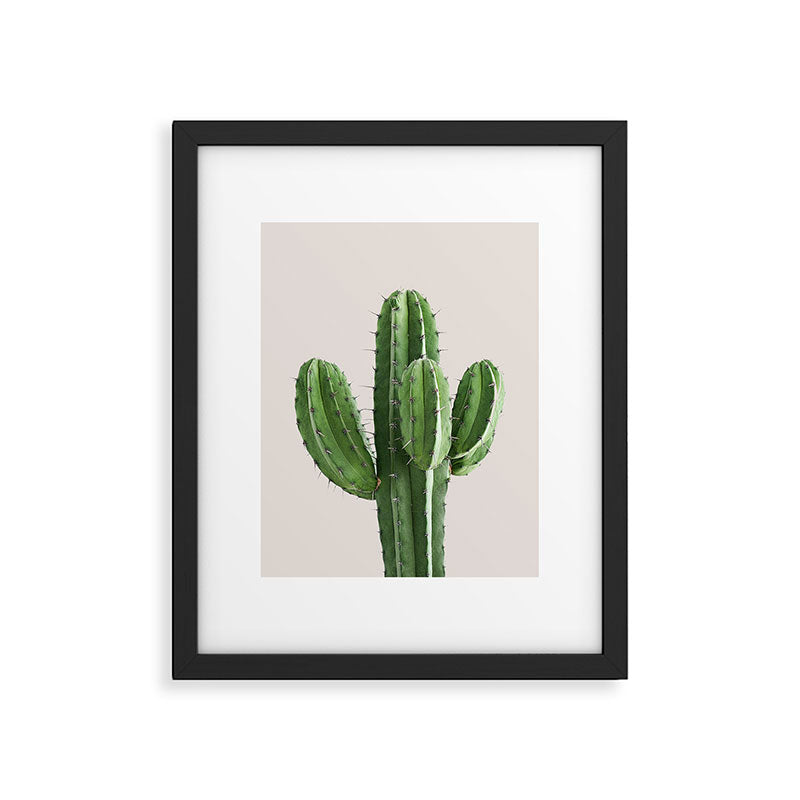 Cactus 4 Framed Art Print Gallery Image 5