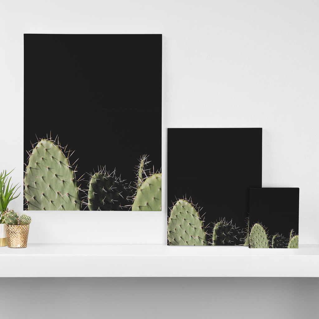 Cactus Canvas Print Gallery Image 3