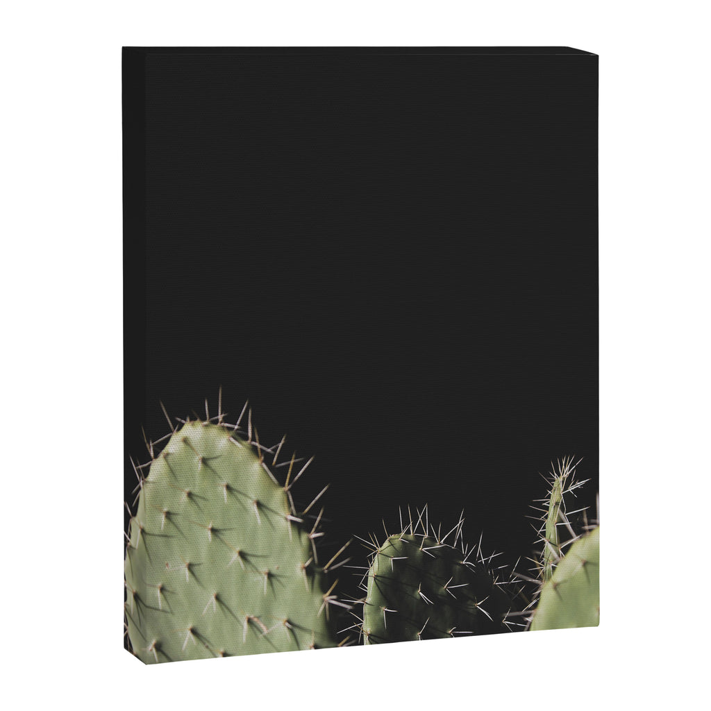Cactus Canvas Print Gallery Image 3
