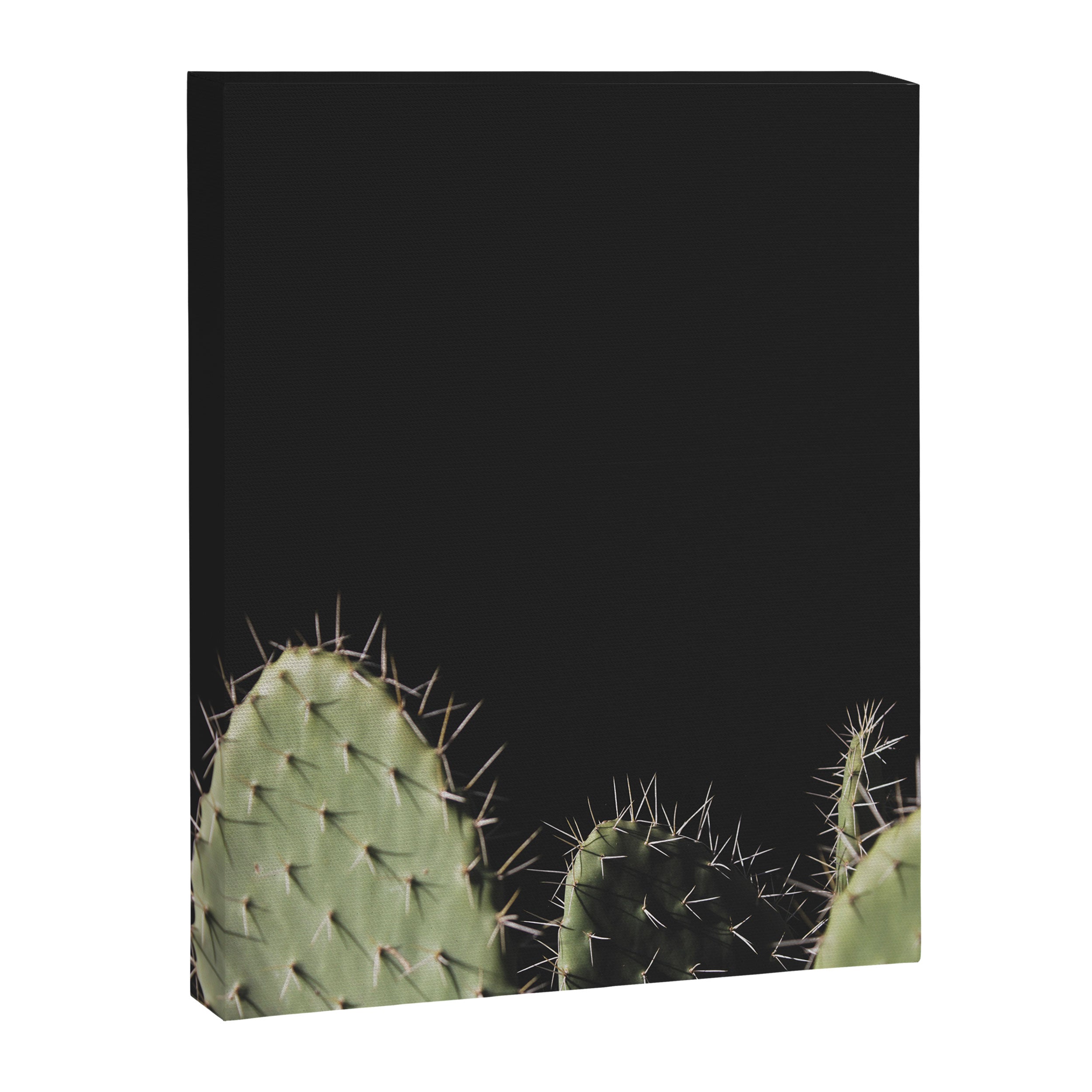 Cactus Canvas Print Gallery Image 3