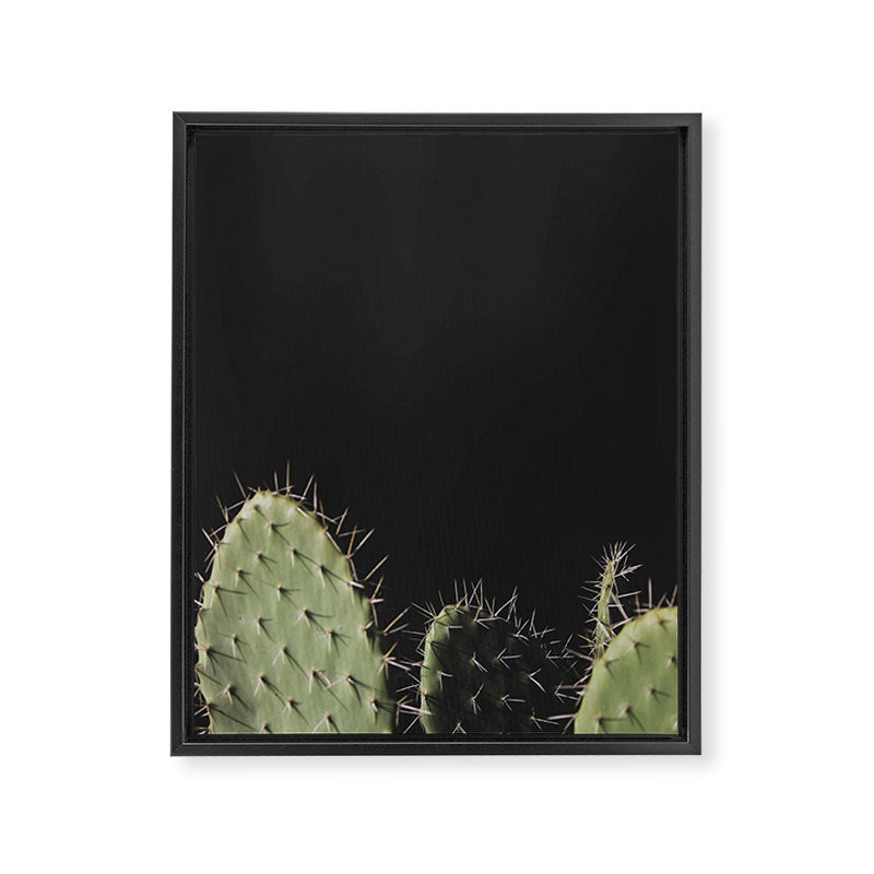 Cactus Framed Canvas Print Gallery Image 3