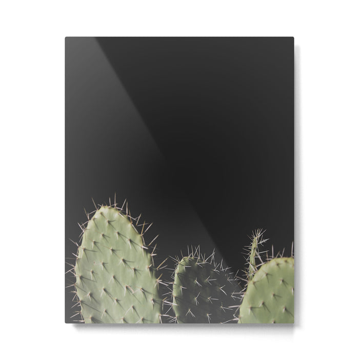 Cactus Metal Print Gallery Image 1